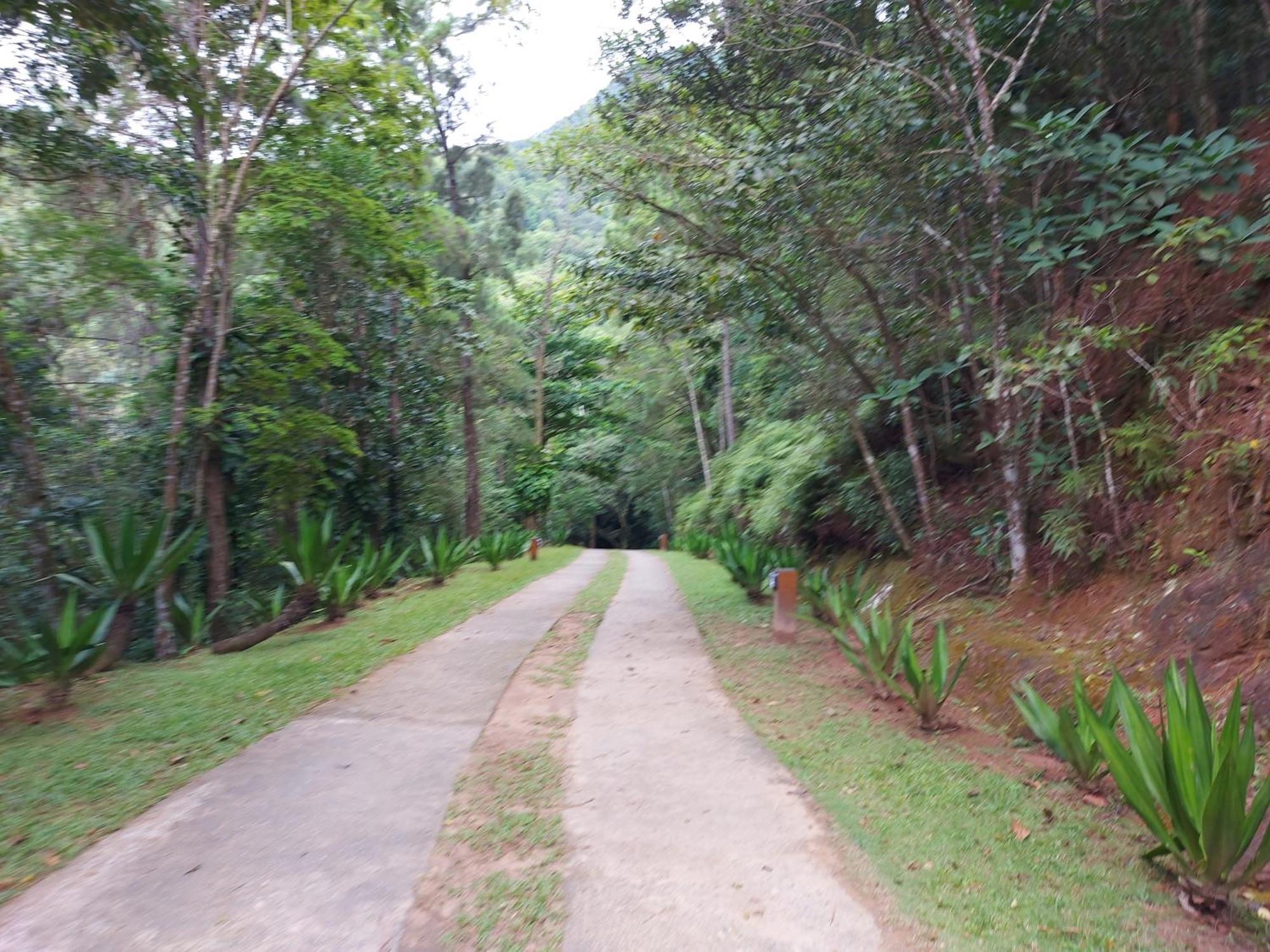 Hotel Quintal Da Mata Sao Sebastiao  Exteriér fotografie