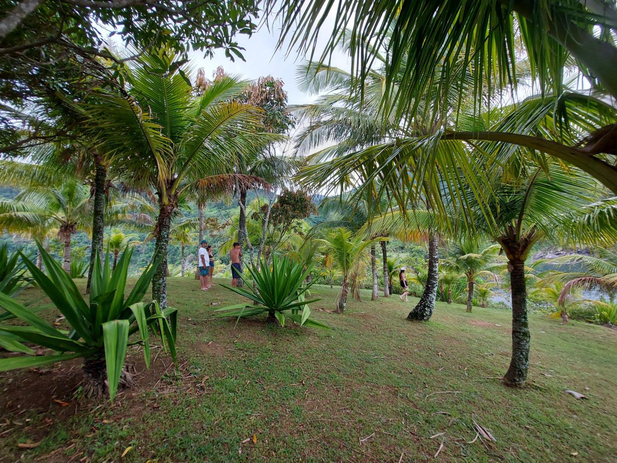 Hotel Quintal Da Mata Sao Sebastiao  Exteriér fotografie